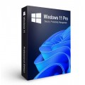 Windows 11 Pro 64Bit Eng Intl 1pk DSP OEI DVD