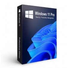 Windows 11 Pro 64Bit Eng Intl 1pk DSP OEI DVD